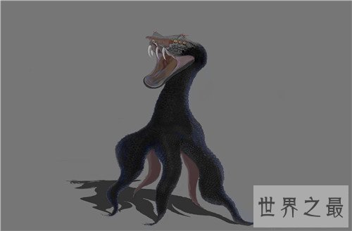 山海经异兽都有哪些 玄武九尾狐饕餮都真实存在吗