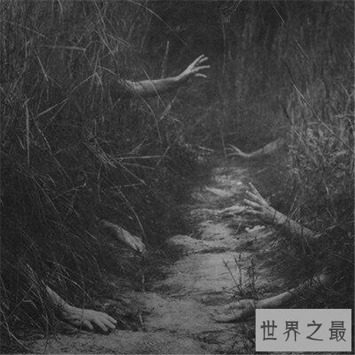 左央事件的经过介绍 曾在天涯玩通灵游戏引瞩目
