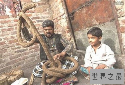 通天绳是一种魔术吗 为何印度通天绳这么神奇
