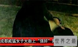 成都九眼桥事件后续 逾千名男子坐地齐呼姐姐你快回来