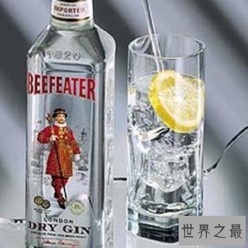 八大烈酒的度数排行,伏加特度数以95度排行第一名