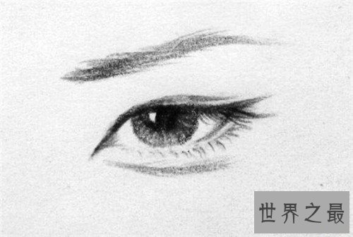 丹凤眼图片有人见过吗 真假丹凤眼怎么区分