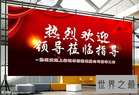 领导者应具备的素质都有哪些啊 这很重要