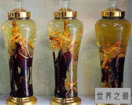 补肾药酒配方有哪些 男人吃什么可以补肾壮阳