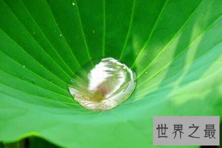 圣水指的是什么呢  除了是宗教概念外它还是sm圈内的一种癖好