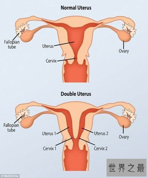 双倍愉悦让你我跟亲近