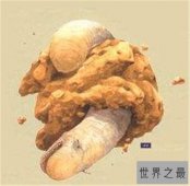 太空蛞蝓是什么东西 星球大战中影迷最感兴趣生物