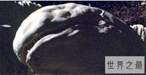太空蛞蝓是什么东西 星球大战中影迷最感兴趣生物