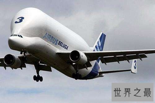 白鲸运输机是什么 不仅颜值高性能也不可小视