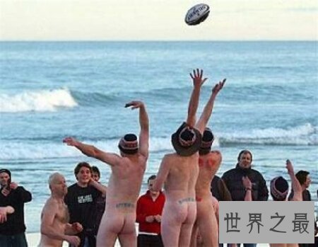 天体营是德国的一个组织 很难以启齿哦