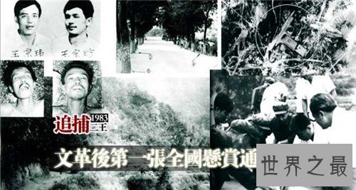 二王指的是谁 二王事件曾轰动整个东北