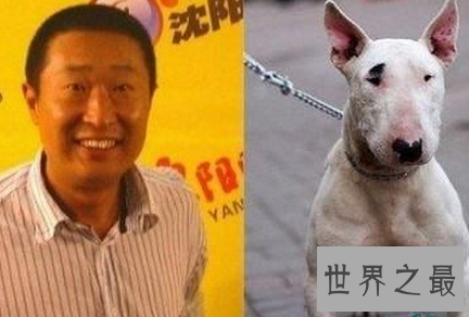 孙红雷与牛头梗之后 林永健狗出现于江湖之中