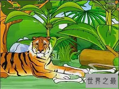 为虎作伥的意思是什么 为虎作伥成语故事介绍