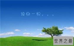 独树一帜是什么意思 成语独树一帜造句