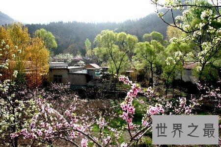 花枝招展是形容女孩子的 那花枝招展的意思又是什么