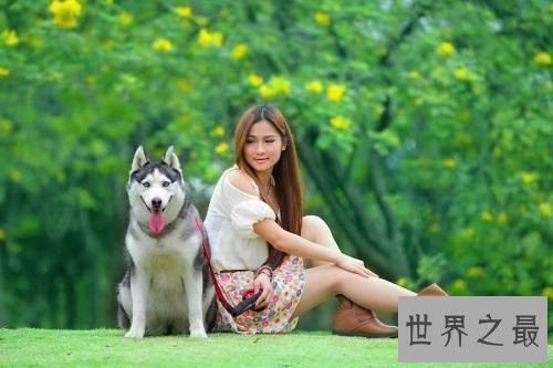 梦到狗代表什么意思，不同的人梦到狗有什么含义