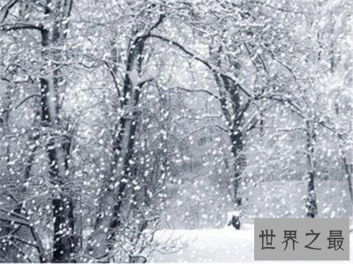 梦见下大雪是什么意思 不同身份的人梦见下大雪含义