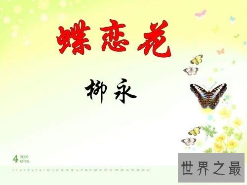 蝶恋花柳永整首诗原文介绍，蝶恋花讲述什么故事