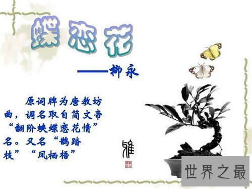 蝶恋花柳永整首诗原文介绍，蝶恋花讲述什么故事