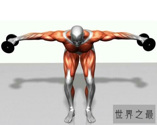哑铃飞鸟,练胸时最常见的动作之一,让我们来看看它的奇妙之处