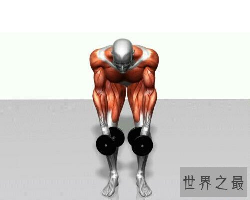 哑铃飞鸟,练胸时最常见的动作之一,让我们来看看它的奇妙之处