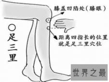 足三里怎么找？厉害了大兄弟！