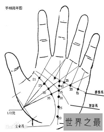 手掌上的财运线,有什么神奇的秘密?