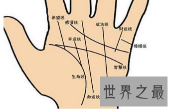 手掌上的财运线,有什么神奇的秘密?