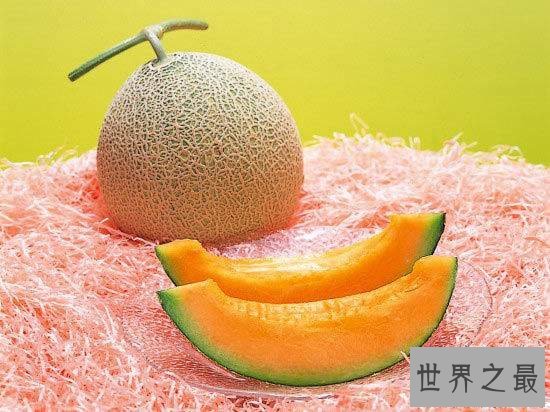 盘点9种全球最贵食物,一口吃掉你一辈子粮食