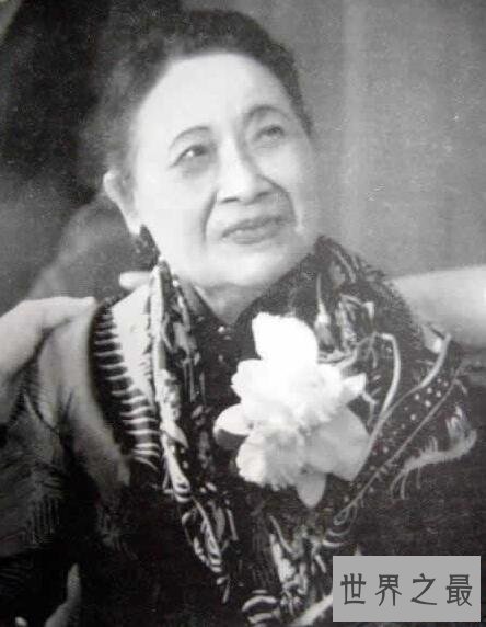 晚清第一女海盗,清夫人称霸太平洋走遍五海