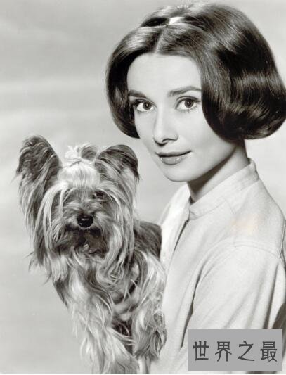 世界第一美女奥黛丽·赫本,她的美能够超越古今