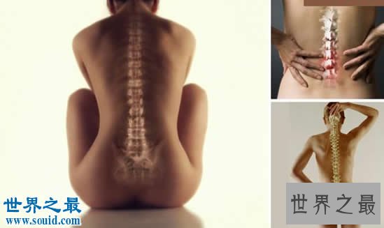 人类身体最没用的十大器官,男人乳头都是多余的