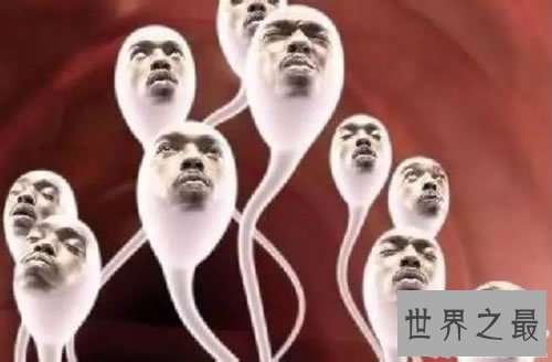 世界上精液最多的男人,一个男人有多少精液(1.6万)