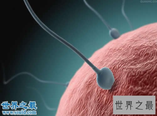 世界上精液最多的男人,一个男人有多少精液(1.6万)