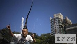 世界上最高的发型