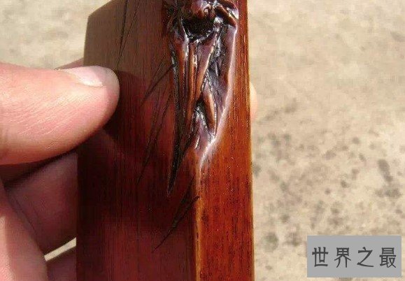 世界最硬的木头,可以抵挡住一般的子弹
