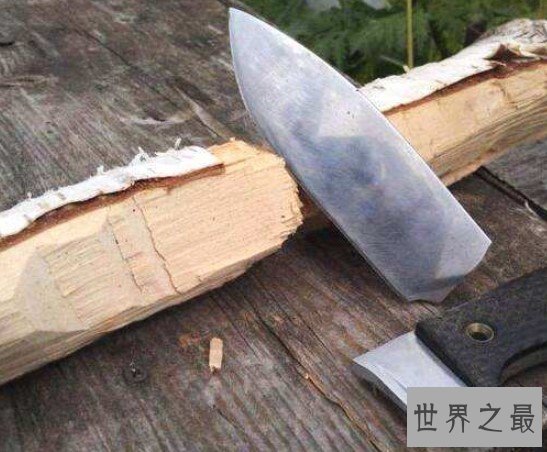 世界最硬的木头,可以抵挡住一般的子弹