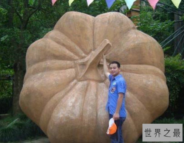 世界上最大的南瓜,居然将近2千斤
