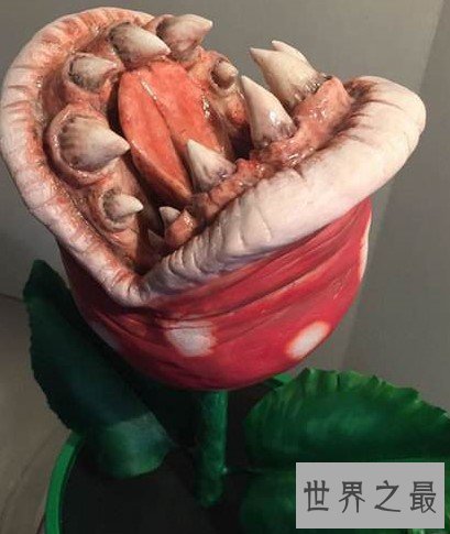 世界上最恐怖的花 食人花,吃掉十个生命才开一朵花