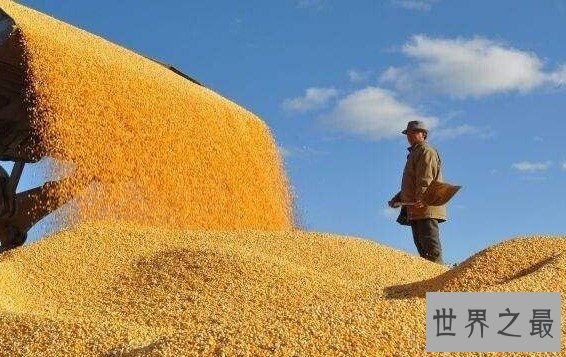 古代五大之最主食,竟然还有违禁品啊