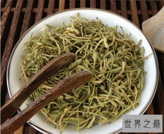 金银花茶的功效与作用,能对抗外感风热喉咙干燥