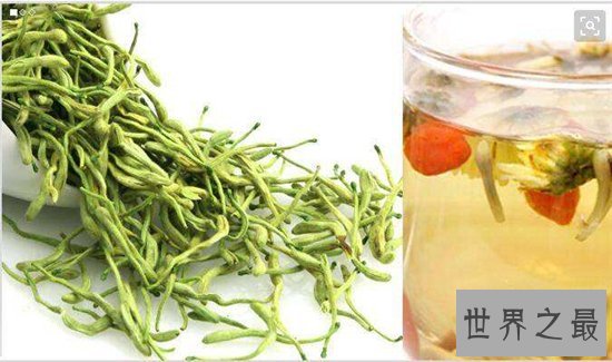 金银花茶的功效与作用,能对抗外感风热喉咙干燥