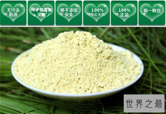 松花粉的功效与作用,对花粉过敏的人不建议使用
