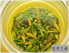 莲子心的功效与作用，对治疗便秘具有良好功效