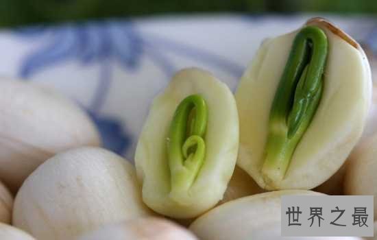 莲子心的功效与作用,对治疗便秘具有良好功效