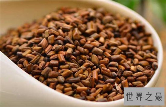 决明子泡水喝的功效,对减肥人士非常好用