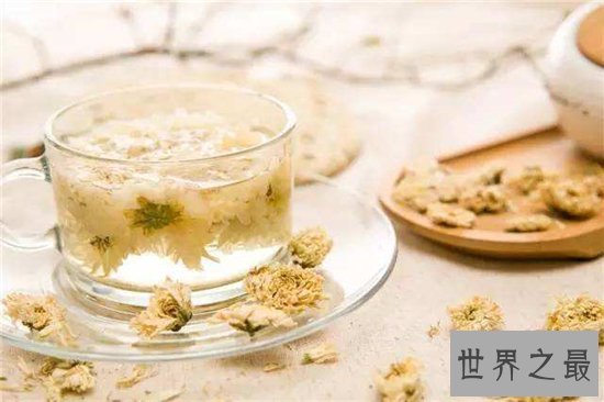 白菊花茶的功效与作用,败火降暑是大家熟知的功效