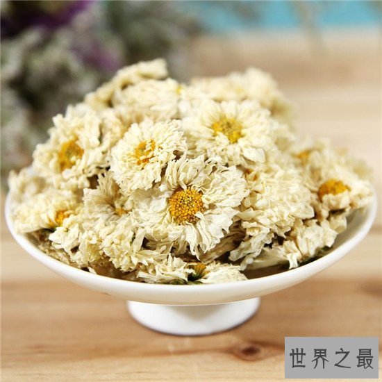 白菊花茶的功效与作用,败火降暑是大家熟知的功效