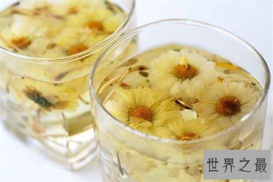 白菊花茶的功效与作用,败火降暑是大家熟知的功效