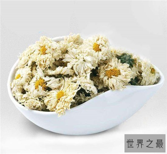 白菊花茶的功效与作用,败火降暑是大家熟知的功效